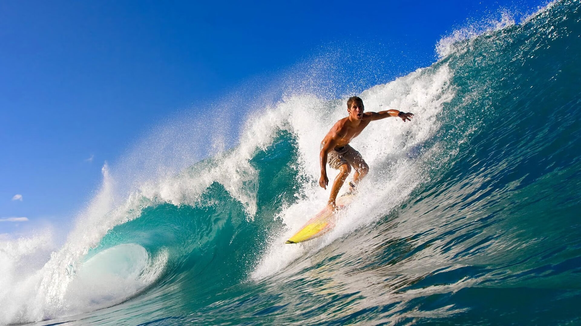 文班亚马,当巴黎铁塔矗立在CBA的禁区